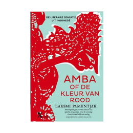 Amba of de Kleur van Rood